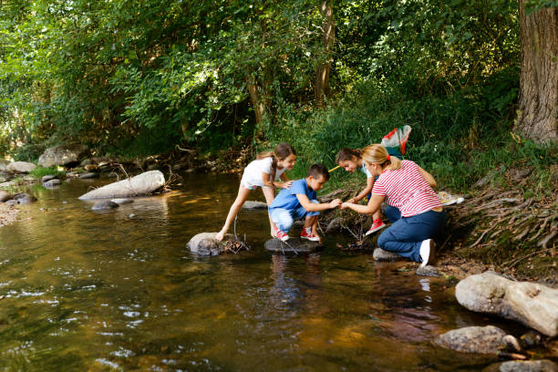 istock Children exploring nature together with their teacher 1717255131