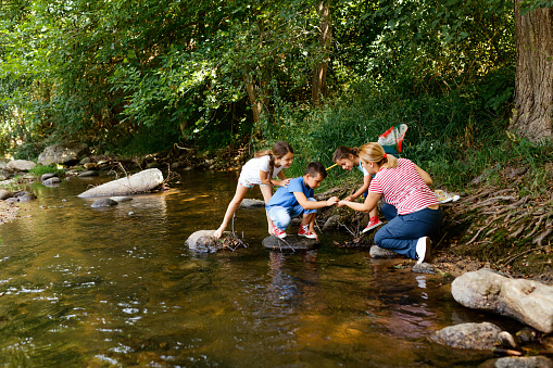 Children exploring nature together with their teacher , collecting