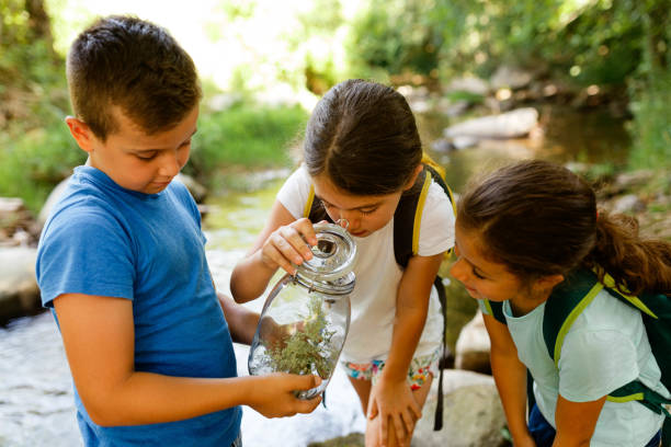 istock Children explore the river and wildlife in it 1717256207