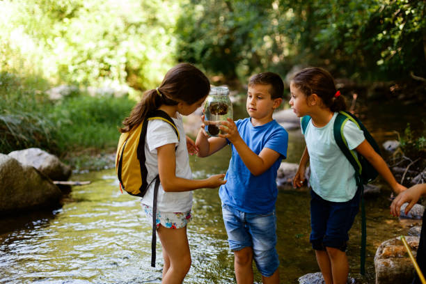 istock Children explore the river and wildlife in it 1717257261