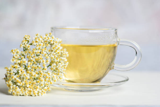 Cup of elderberry tea