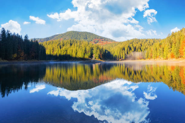 istock spruce forest reflection on the water surface of a lake 1717269408