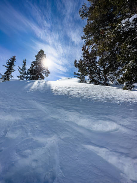 istock Sunlit Snow-Covered Pines Framing Mountain Slope Under Blue Sky 1717278900
