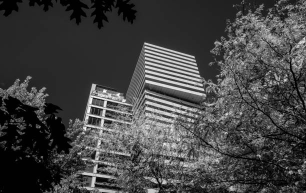Monochrom camera photography. Wide angle. Authentic shoot without artificial intelligence.