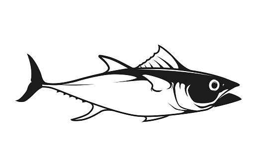 Stylized silhouette of bluefin or yellowfin tuna fish - outline cut out vector icon on white background