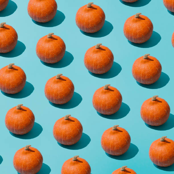 istock Visual pumpkin concept, Halloween season idea. Fresh pumpkins on modern blue background. Aesthetic geometrical pattern composition. 1717316024
