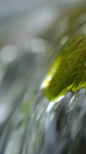 Close-Up of Small Stream Flowing over Green Moss-Covered Rock
