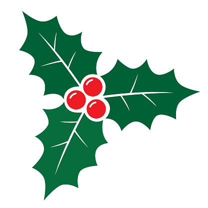 Vector illustration of holly leaves on a white background.