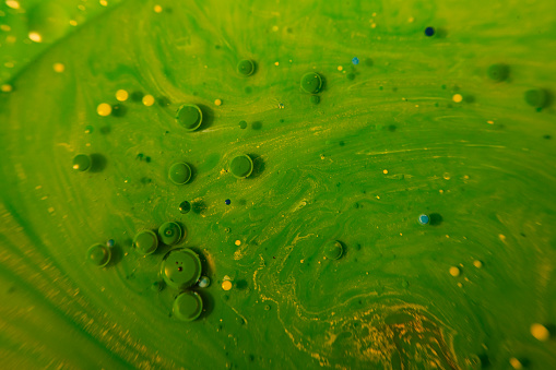 Droplet colors under and over oil, colorful abstract background