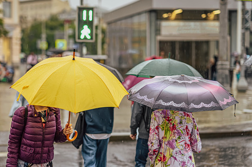 People with umbrellas in rain, back view, city street. Autumn season, lifestyle concept