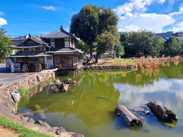 istock The nature in Nara city 1717516907