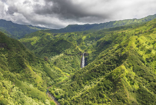 Lush vegetation surrounds Rainbow  Fall near Hilo Hawaii