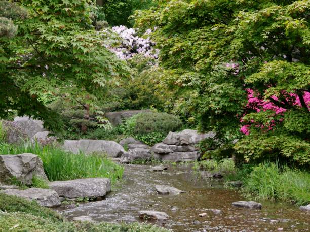 istock Planten un Blomen in Hamburg 1717530076
