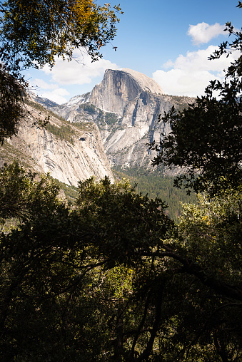 View through the trees of Half Dome in Yosemite Valley, California