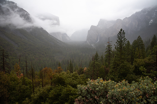 Scenic view from the iconic Tunnel View of Yosemite Valley with the fog rising above it, in Yosemite National Park