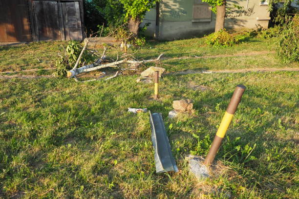istock Aftermath of the hurricane . Broken trees, mess on the streets. Broken branches, bent trunks. Chips and trash. State of emergency after a catastrophic storm. 1717642967