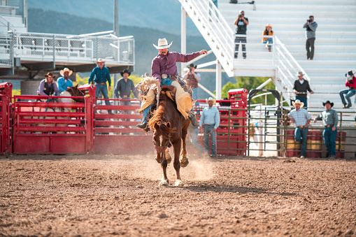 Cowboy riding bucking horse in pasture with mountains in the background.