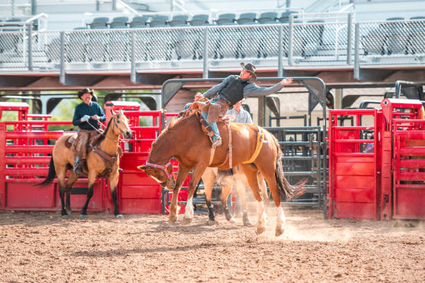 istock Cowboy Riding A Bucking Horse 1717655686