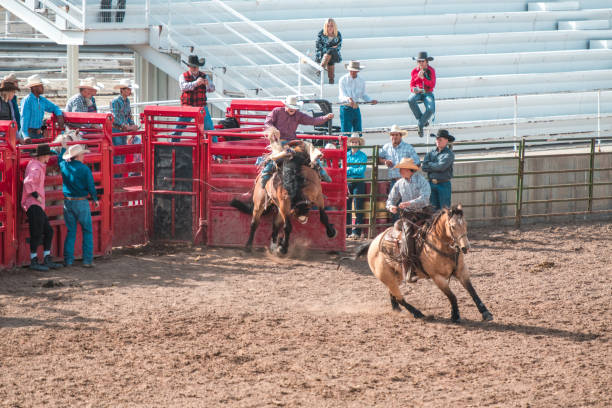 istock Cowboys Lassoing A Bucking Horse 1717655692