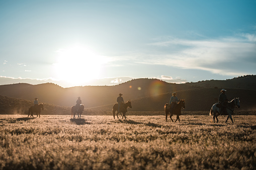 Countryside scenery of people's silhouettes moving forward on a row. They are riding horses during the sunset and there is a clear blue sky behind them.