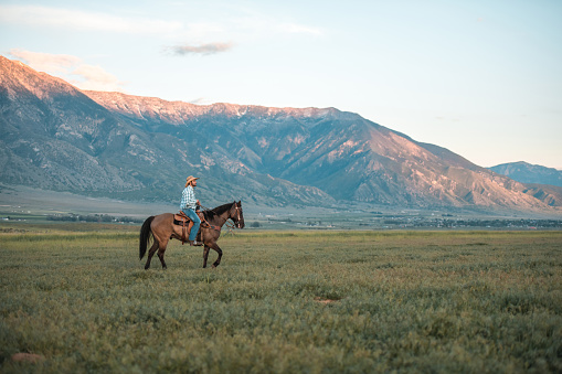 Calm scenery. Side shot of man horseback riding in the large field. Man having fun in the countryside while wearing a cowboy hat and boots.