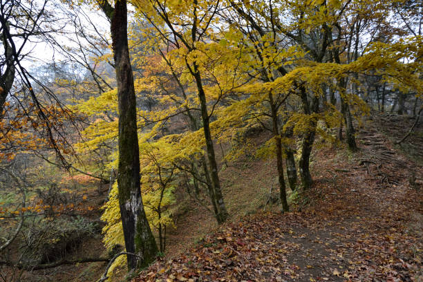 istock Climbing  Mount Arafune, Gunma, Japan 1717694821