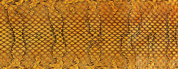 istock Reptile leather - snake skin texture, as background. Brown snake pattern imitation. 1717737200