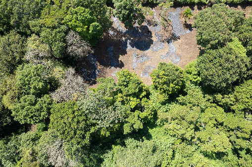 Burn soil in green forest aerila drone view background
