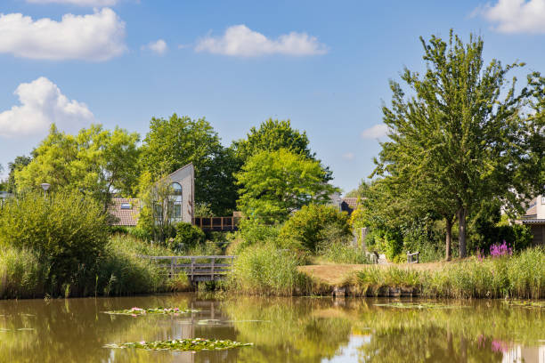 istock Modern green neighbourhood with park 1717743468