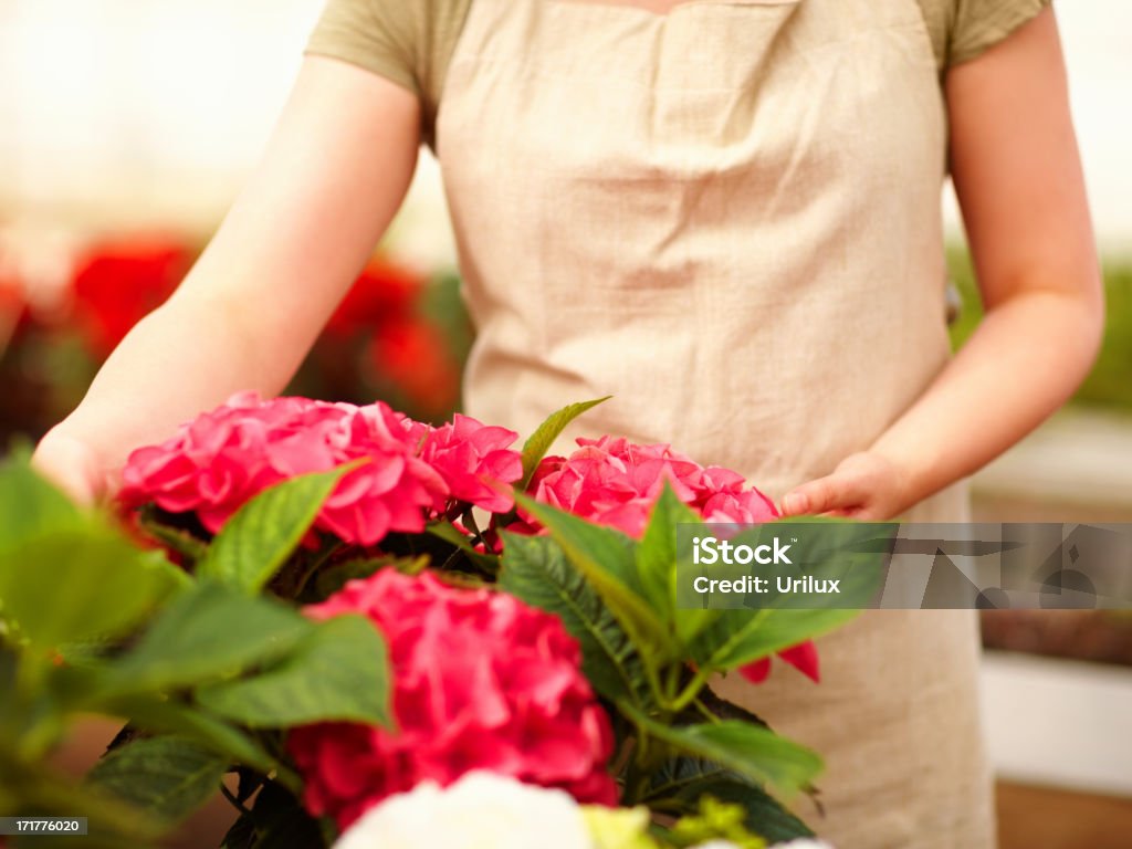 Only the freshest flowers for you!  Adult Stock Photo