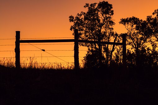 A ranch's barbed wire fence and trees in silhouette against the brilliant orange sky just before sunrise in the rocky mountains of Colorado in fall.