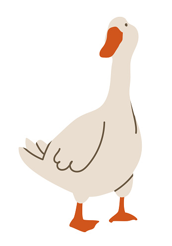 Poultry Goose stands and looks to the left. Cute bird with orange legs. Flat vector illustration