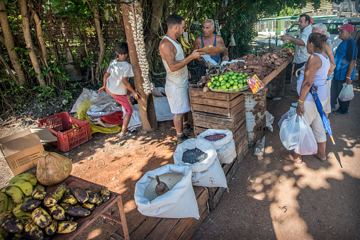 Produce stands are very popular on the outskirts of Havana, Cuba. Some Cubans can only get their fruit and vegetables at a stand like this.