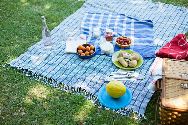 Food on blanket in grass  picnic blanket stock pictures, royalty-free photos & images