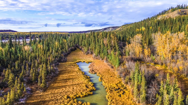 istock Drone Flight over Wrangle St. Elias National Park in Autumn 1717894802