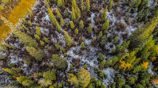 Pictures taken from a drone flying over Wrangle St. Elias National Park in early Autumn.