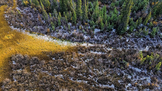 Pictures taken from a drone flying overWrangle St Elias in early Autumn.