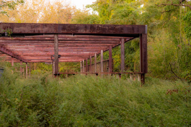 Old steel building support structure, beams and columns, in overgrown woods.
