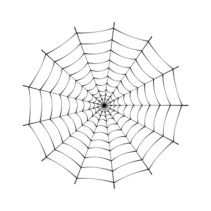 Spiderweb. Vector illustration isolated on a white background.