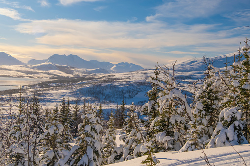 Winter Norway landscape with forest, mountains and fjord. New Year and Christmas background