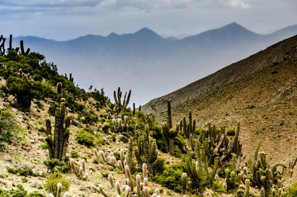 istock Bolivian countryside 1717986502