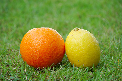 an orange fruit and lemon on a grass.