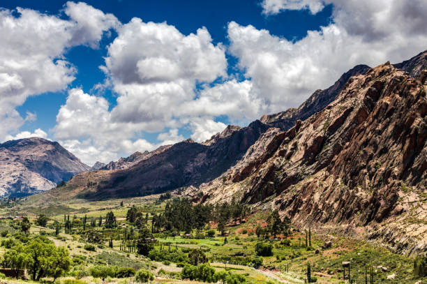 istock Bolivian countryside 1717992814