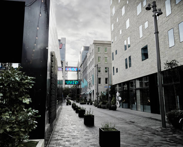 Auckland street