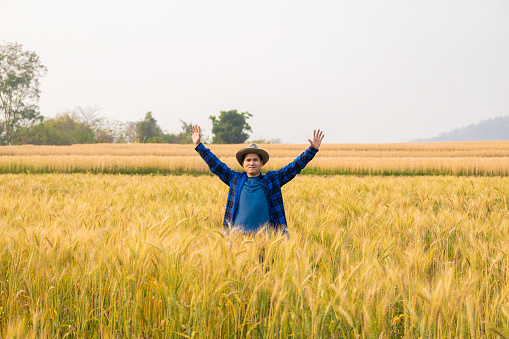 A young Asian man stands in a field of beautiful golden ripe wheat at sunset. Using smartphones and laptops, digital tablets quality survey technology