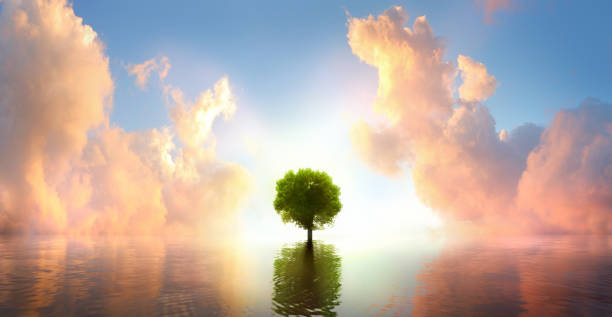 istock Tree growing out of the sea at sunset 1718081664