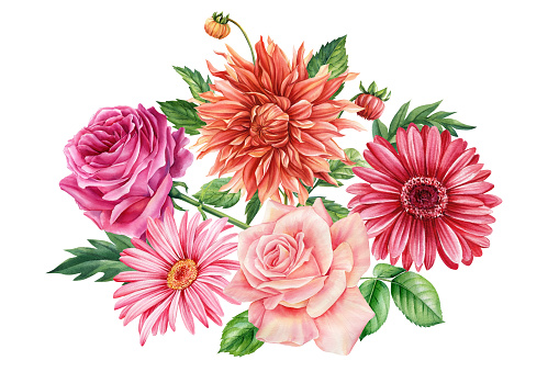 beautiful colorful Flowers and leaves isolated on white background. Watercolor hand draw flora. Bouquet flowers. High quality illustration