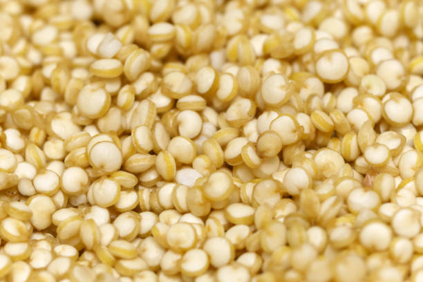 istock Quinoa close-up macro, selective focus. Food cooking texture 1718185805