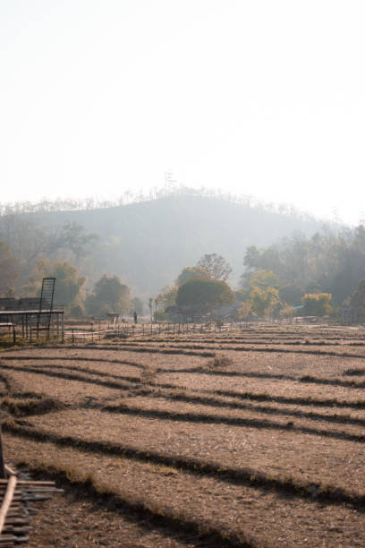 istock north thailand nature roads 1718190705