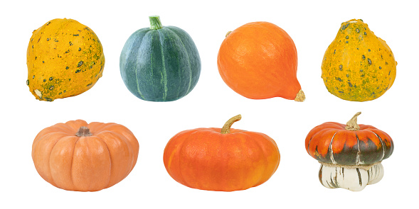 Set of autumn isolated pumpkins. Harvest and Thanksgiving concept.